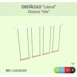 Ponte Lateral