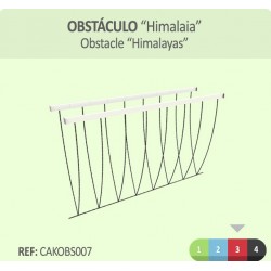 Ponte de Himalaia